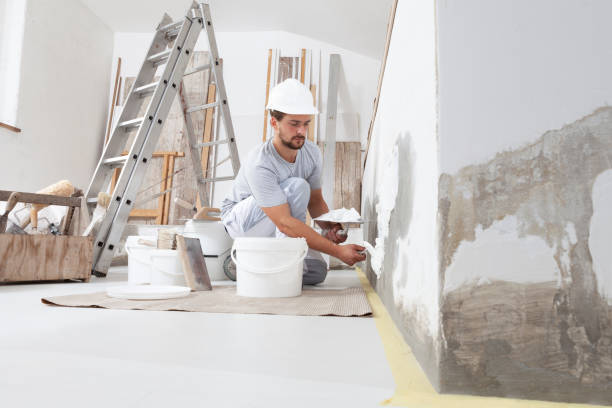 Best Drywall Removal and Disposal  in Pierce, NE